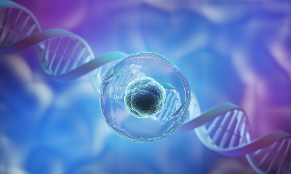 3d rendering of Human cell or Embryonic stem cell microscope
